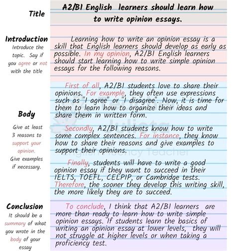 Writing essay örnekleri